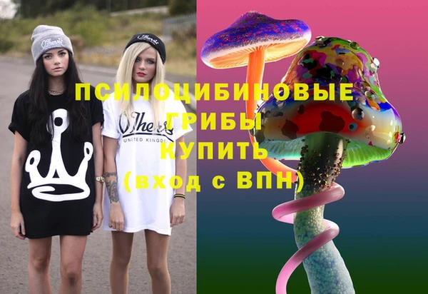 МДПВ Богданович