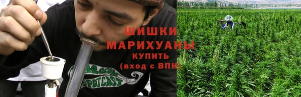 МДПВ Богданович