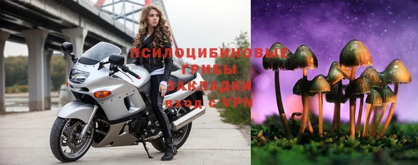 хмурый Горняк