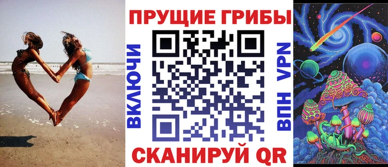 Галлюциногенные грибы Psilocybe где продают наркотики кракен как войти Гусев