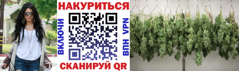 omg ССЫЛКА  где найти наркотики  Гусев  Канабис White Widow 